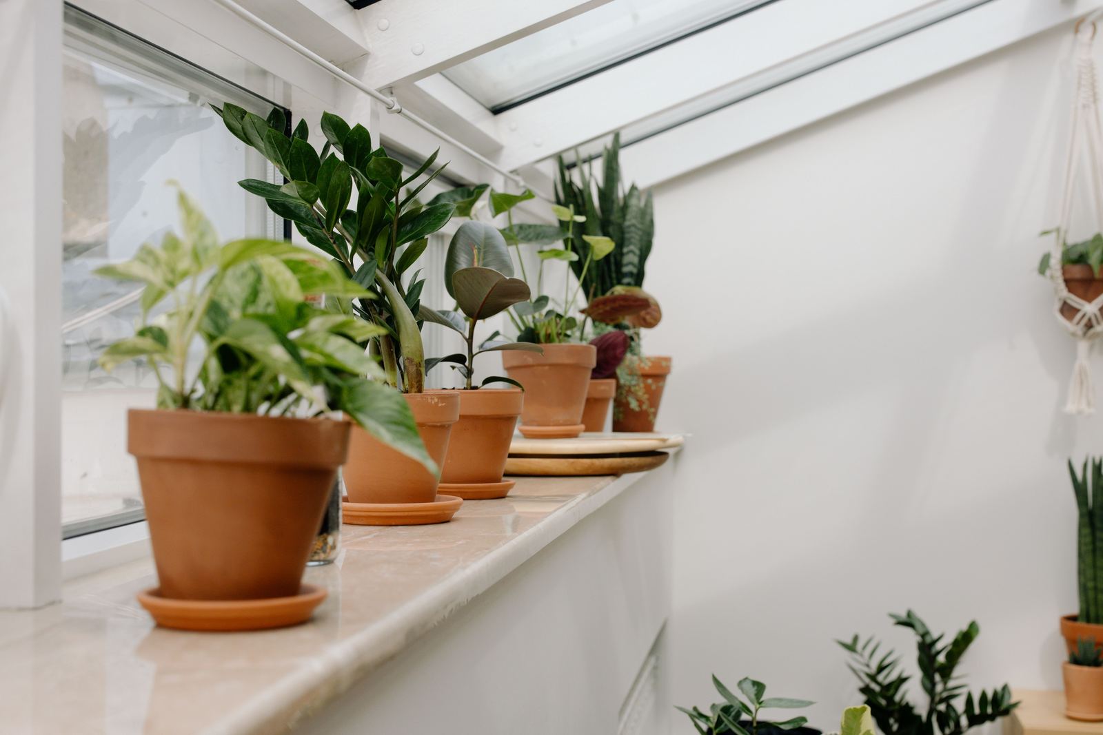 Terracotta plant pots with visible drainage saucers on a windowsill